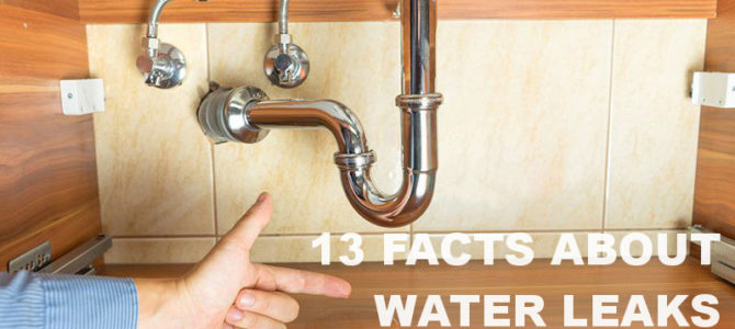 13 Must-Know Facts About Plumbing Leaks in Your Home
